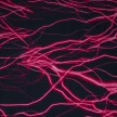LYCRA NEON 10 NERO/ROSSO