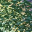 LYCRA PUNTINI 434 VERDE BANDIERA